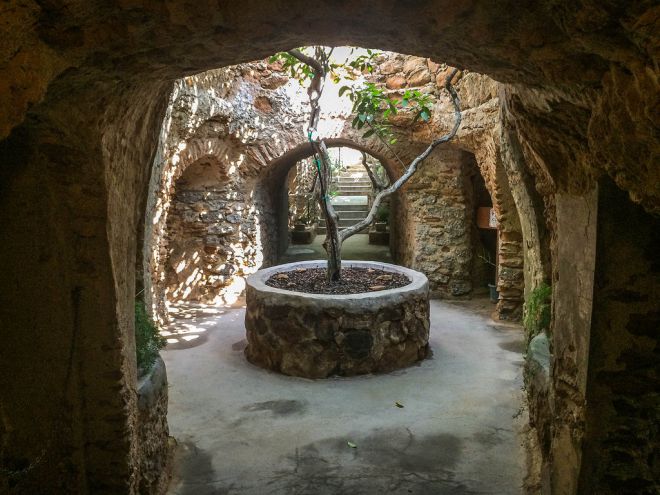 Подземный сад