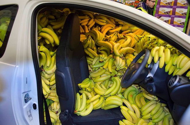 Бананы в машине