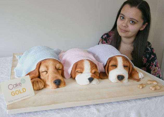 Лаура и торт со щенками