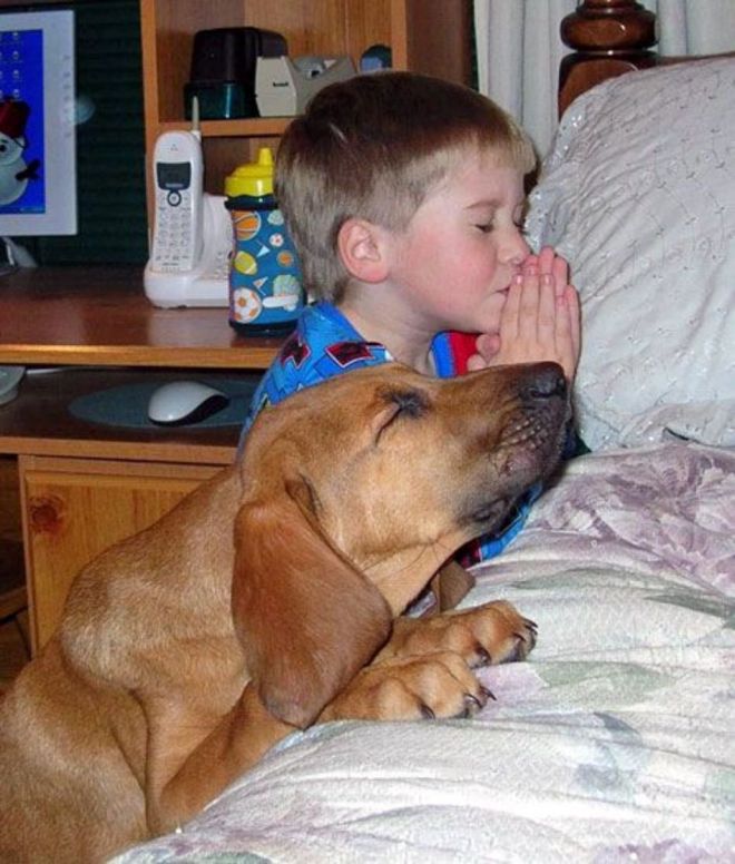 Собака с малышом молятся