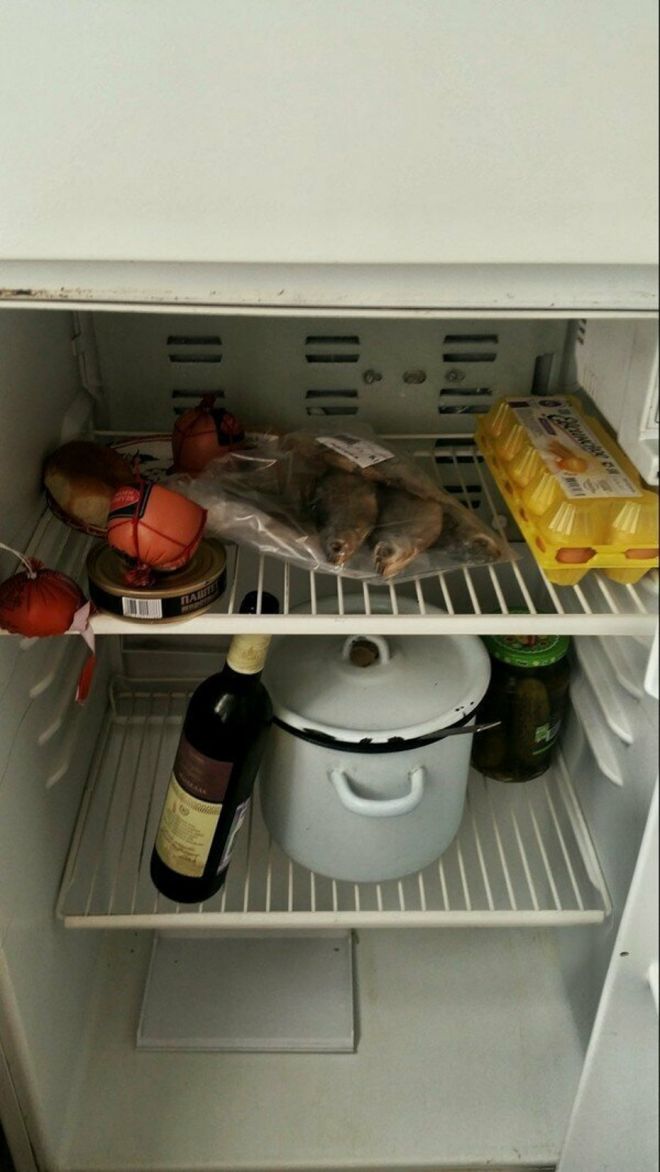 Холодильник холостяка