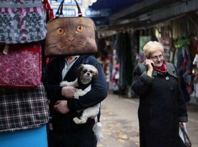 сумка с котом