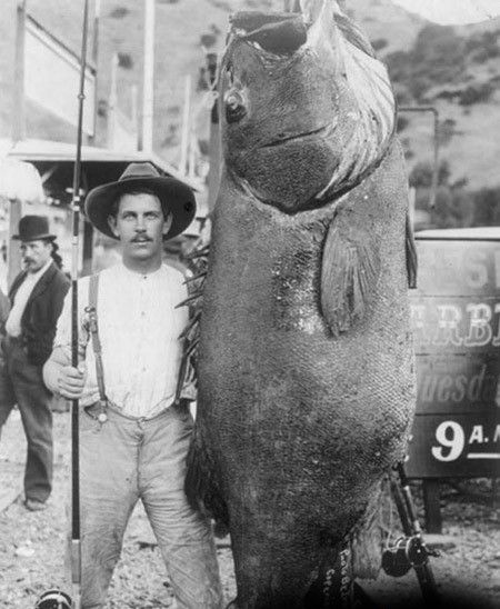 Человек с огромной рыбой
