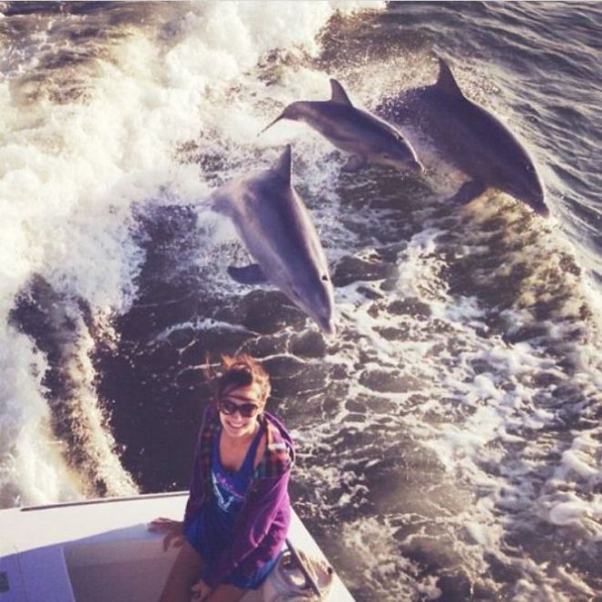Дельфины прыгают за лодкой