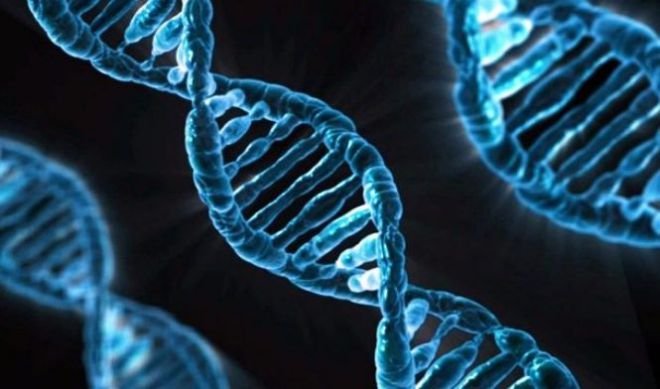ДНК-цепочка