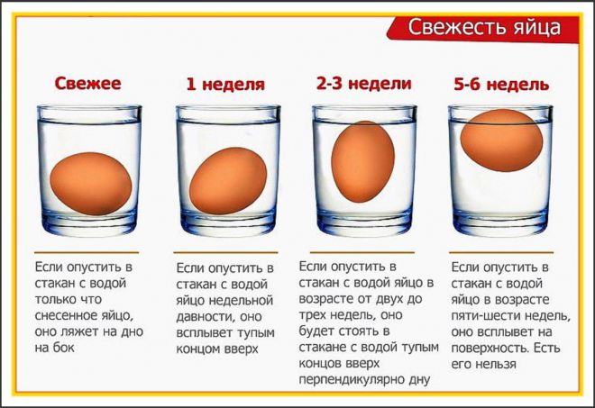 Как определить свежесть яйца