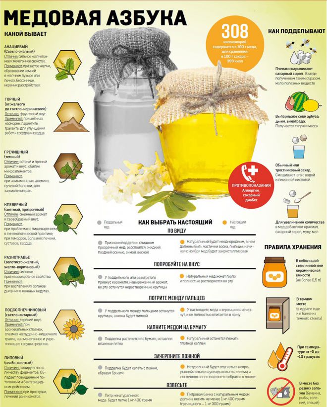 сорта меда и их лечебные свойства
