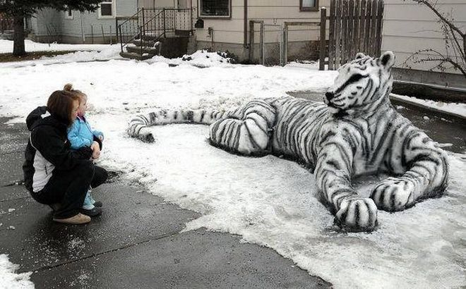 тигр из снега