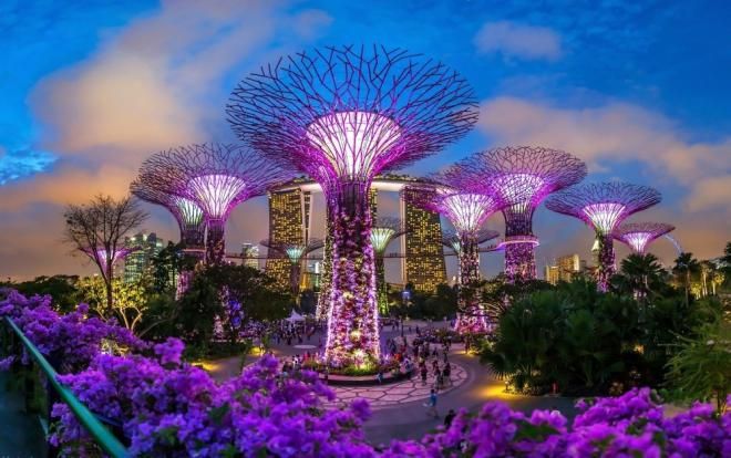 Сады у залива, Сингапур