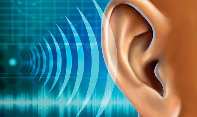 Чувствительный слух способен распознать температуру
