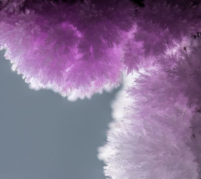 необычные кристаллы фиолетов