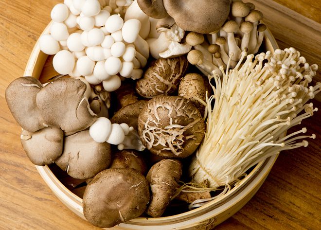 многофункциональные грибы