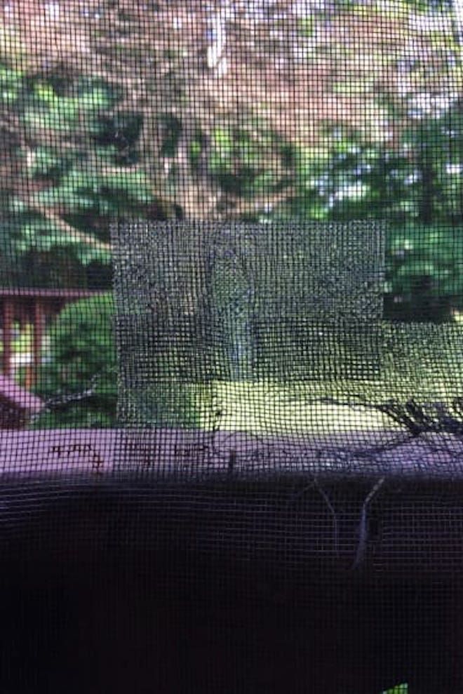 Порванная сетка на окне