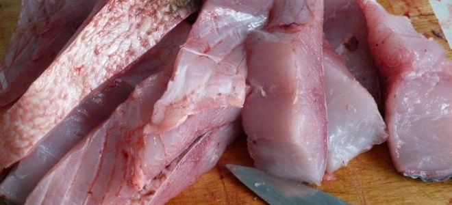 Как разделать толстолобика на филе без костей