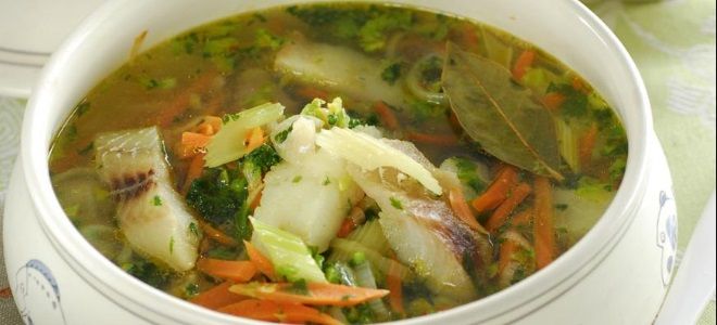 рыбный суп с сельдереем – рецепт