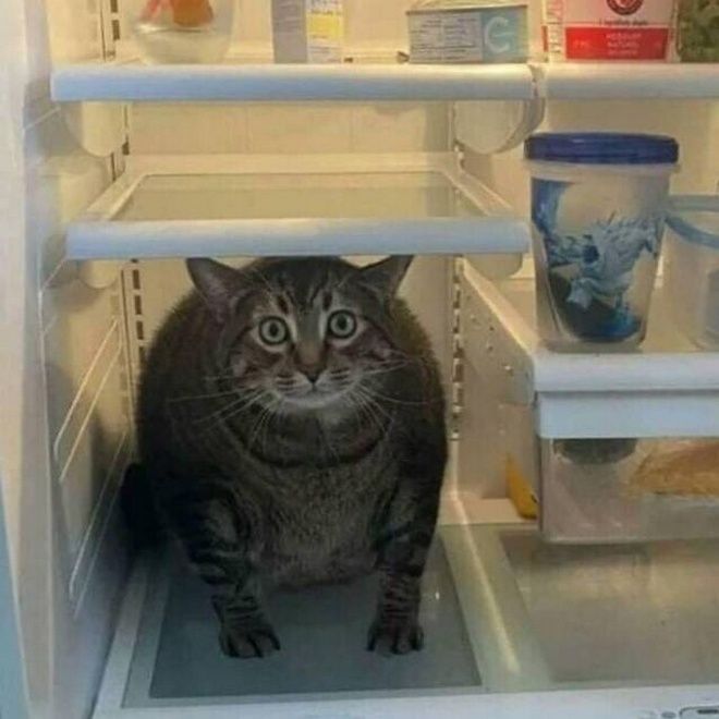 1 холодильник