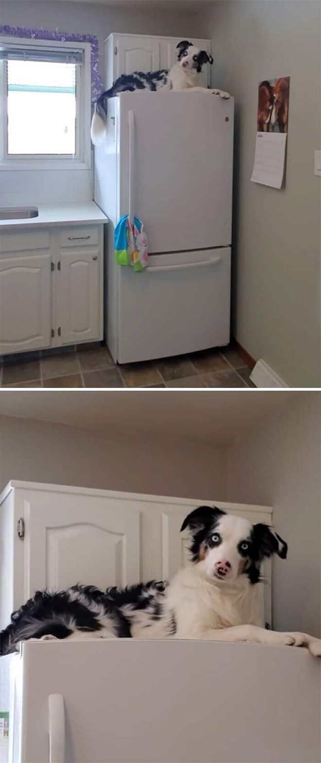 4 холодильник
