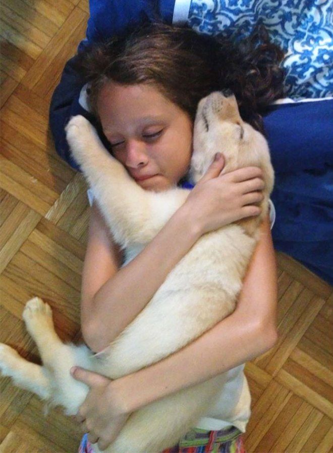 Девочка обнимает щенка