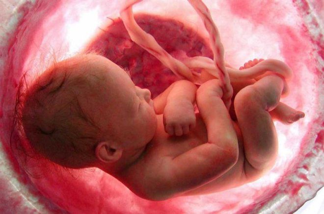 Суп с эмбрионами и человеческой плацентой