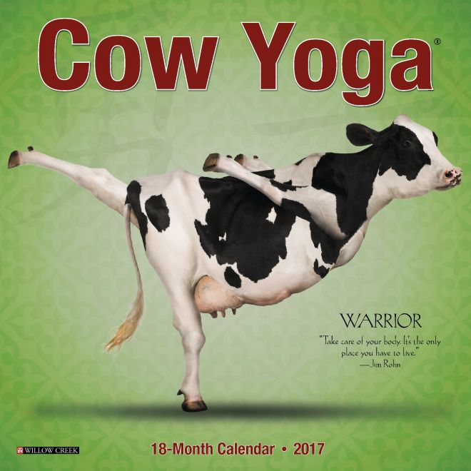 Йога с коровами