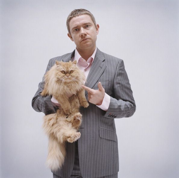 Мартин Фримен с котом