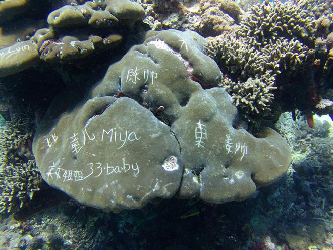 Дайверы нашли надписи на Бали