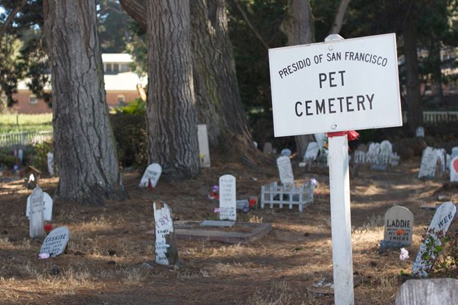 Кладбище Президио в Сан-Франциско, США