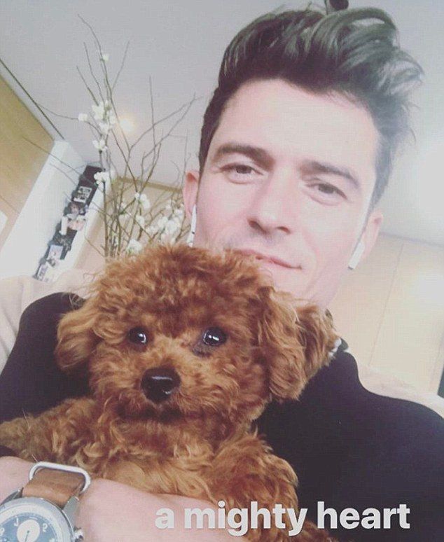 Орландо Блум опубликовал в Instagram селфи с псом
