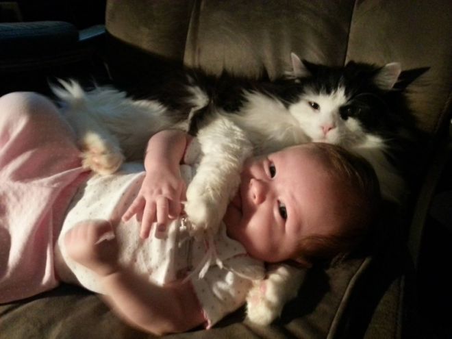 Черно-белая кошка и младенец