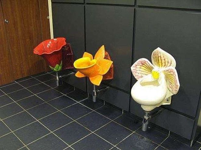цветы в туалете
