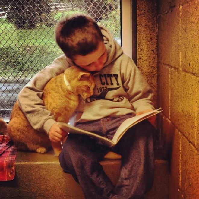 Кот и мальчик с книжкой