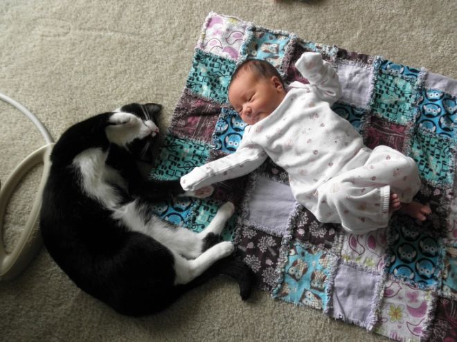 Новорожденный и кот