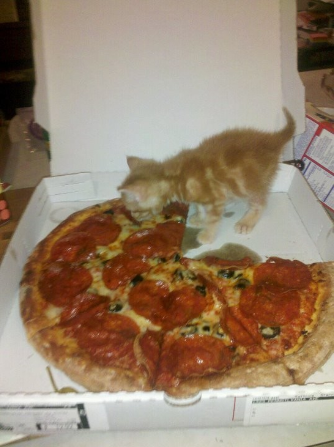 Первая пицца