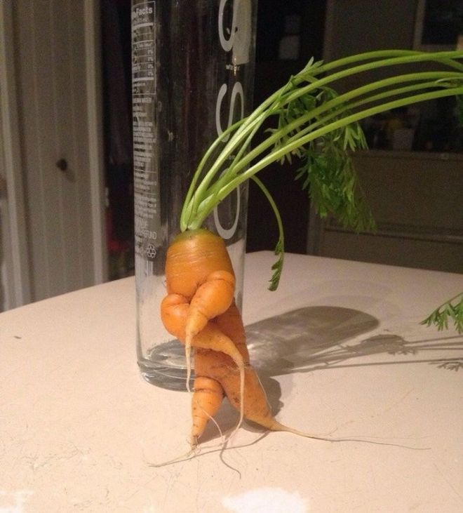 Рок и морковь