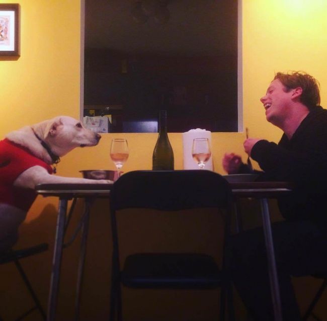 Vakarienė su šunimi