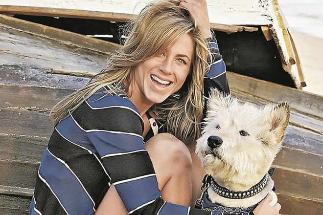 Дженнифер Энистон с собакой