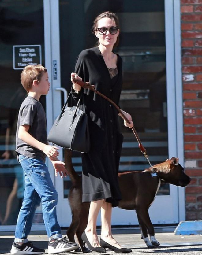 Анджелина прогулалась в магазин с сыном и собакой