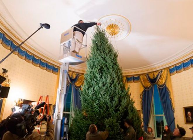 Рождественская елка в Голубой комнате Белого дома