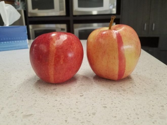 Какие удивительные яблоки