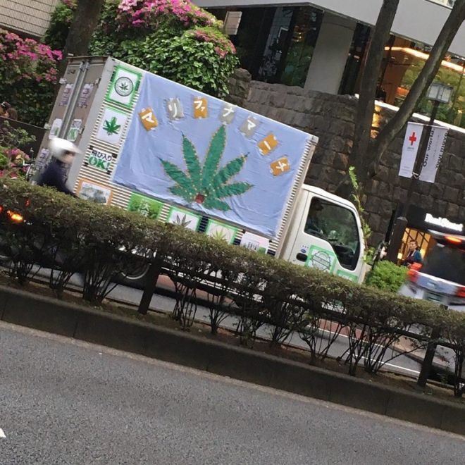Японское законодательство наказывает распространителей марихуаны