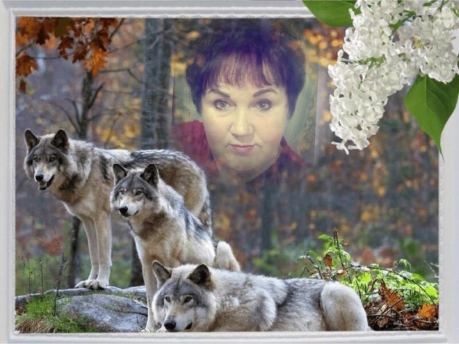 6. Большое женское лицо среди волков в лесу