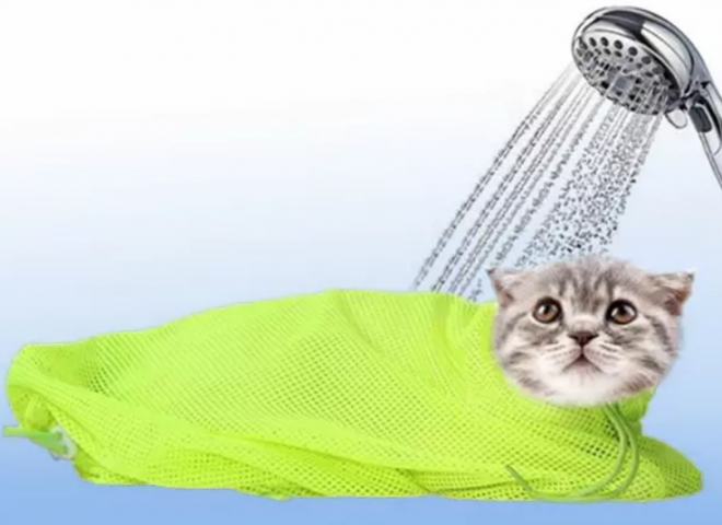 9. Сетка для мытья кошки