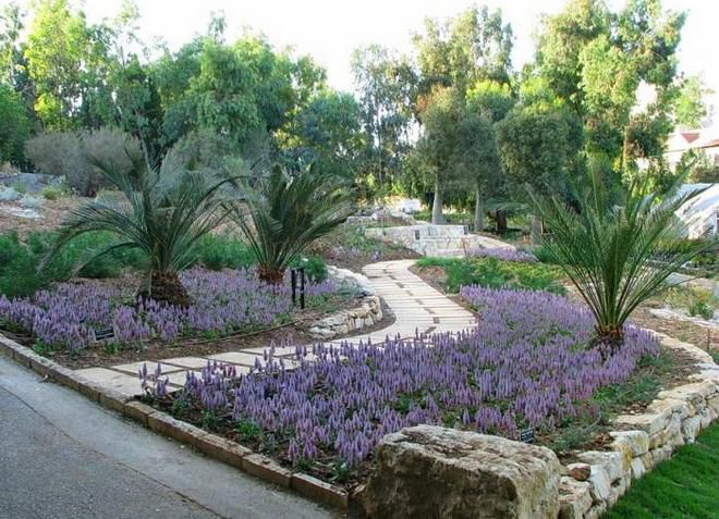 Иерусалимский ботанический сад