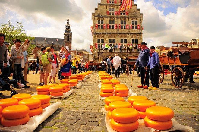 Гастрономические традиции Нидерландов - фестиваль сыра Гауда
