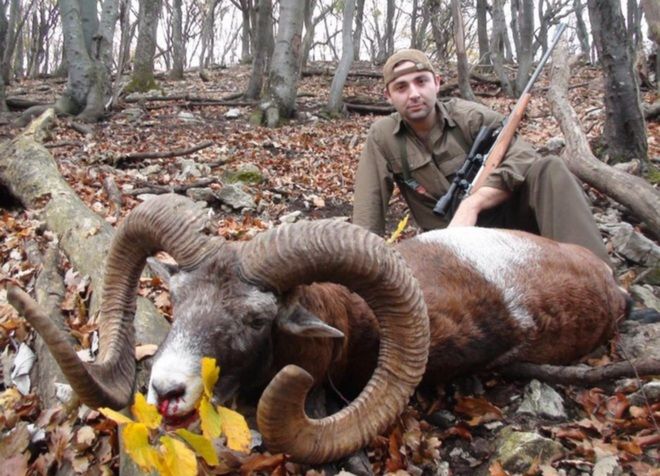 Охота на муфлона в Словакии