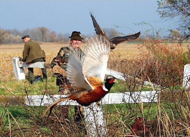 В Словакии созданы специальные охотничьи хозяйства