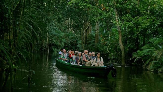 Амазонские джунгли