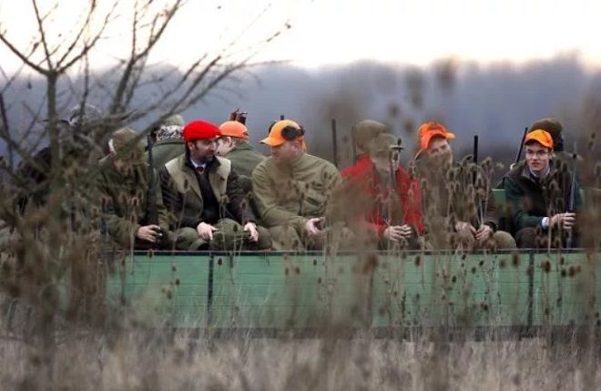 Охота на фазанов в угодье Ристовача