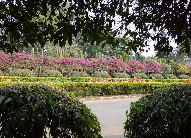 Ботанический сад им. Джавахарлала Неру