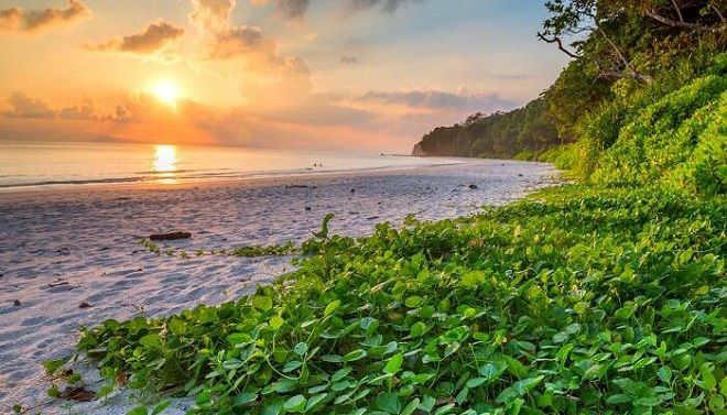 Пляжи Андаманских островов (Радханагар)